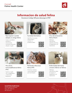 A screenshot of the Spanish language QR code PDF