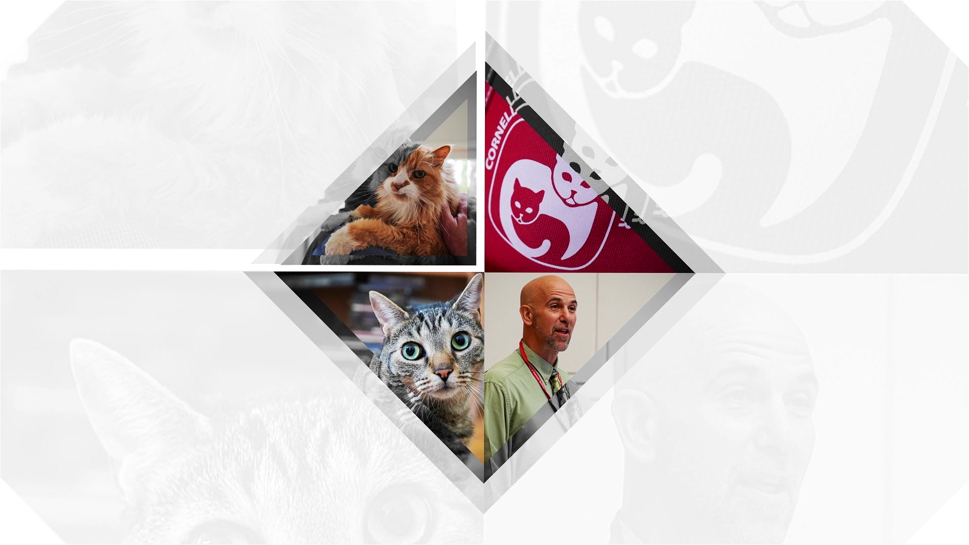 FHC_ProMember_Webinar_Teaser