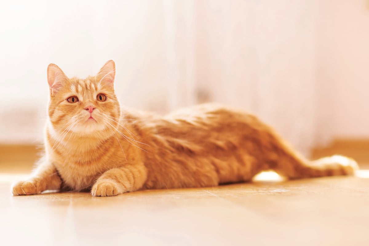 iStock_000066645503_Medium_cmyk
